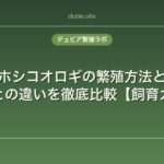 フタホシコオロギの繁殖方法と特徴｜イエコとの違いを徹底比較【飼育ガイド】