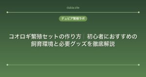 コオロギ繁殖セットの作り方｜初心者におすすめの飼育環境と必要グッズを徹底解説