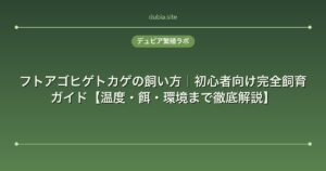 フトアゴヒゲトカゲの飼い方｜初心者向け完全飼育ガイド【温度・餌・環境まで徹底解説】