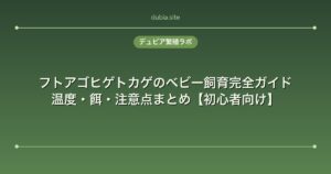 フトアゴヒゲトカゲのベビー飼育完全ガイド｜温度・餌・注意点まとめ【初心者向け】