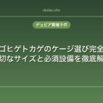 フトアゴヒゲトカゲのケージ選び完全ガイド｜適切なサイズと必須設備を徹底解説