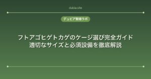 フトアゴヒゲトカゲのケージ選び完全ガイド|適切なサイズと必須設備を徹底解説