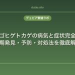 フトアゴヒゲトカゲの病気と症状完全ガイド｜早期発見・予防・対処法を徹底解説