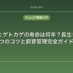 フトアゴヒゲトカゲの寿命は何年？長生きさせる5つのコツと飼育管理完全ガイド