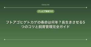 フトアゴヒゲトカゲの寿命は何年？長生きさせる5つのコツと飼育管理完全ガイド