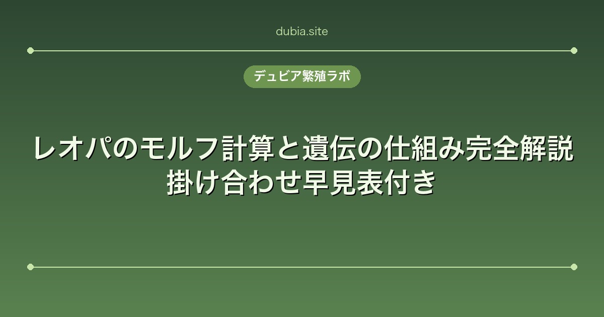 レオパのモルフ計算と遺伝の仕組み完全解説|掛け合わせ早見表付き