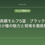 レオパの高額モルフ5選｜ブラックナイトなど希少種の魅力と相場を徹底解説