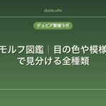 レオパのモルフ図鑑｜目の色や模様パターンで見分ける全種類