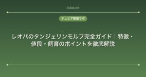 レオパのタンジェリンモルフ完全ガイド｜特徴・値段・飼育のポイントを徹底解説