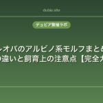レオパのアルビノ系モルフまとめ｜3系統の違いと飼育上の注意点【完全ガイド】