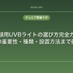 爬虫類用UVBライトの選び方完全ガイド｜紫外線の重要性・種類・設置方法まで徹底解説