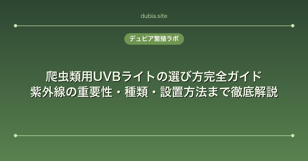爬虫類用UVBライトの選び方完全ガイド｜紫外線の重要性・種類・設置方法まで徹底解説