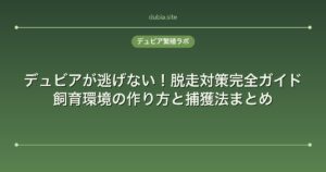 デュビアが逃げない！脱走対策完全ガイド｜飼育環境の作り方と捕獲法まとめ