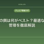デュビアの餌は何がベスト？最適な餌と栄養管理を徹底解説