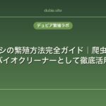 ワラジムシの繁殖方法完全ガイド｜爬虫類の餌・バイオクリーナーとして徹底活用