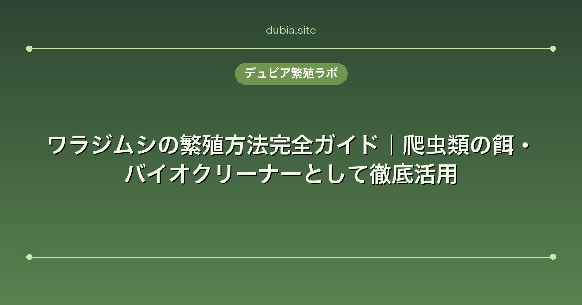 ワラジムシの繁殖方法完全ガイド｜爬虫類の餌・バイオクリーナーとして徹底活用