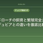 レッドローチの飼育と繁殖完全ガイド｜デュビアとの違いを徹底比較