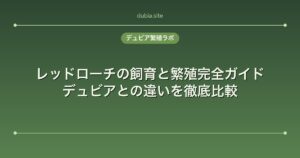 レッドローチの飼育と繁殖完全ガイド｜デュビアとの違いを徹底比較