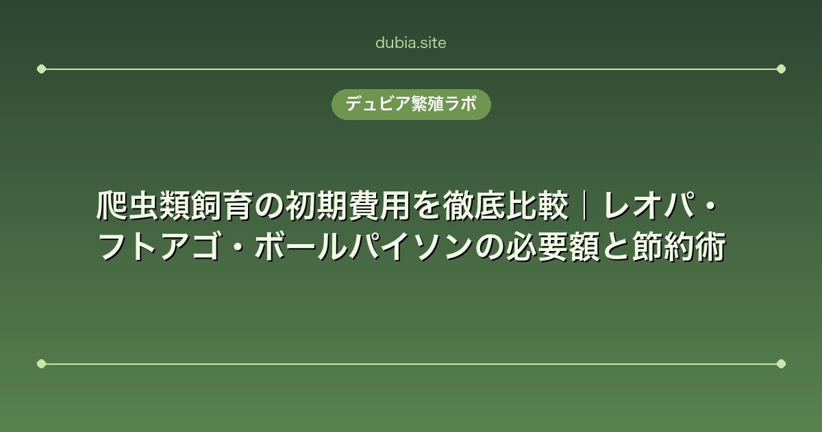 爬虫類飼育の初期費用を徹底比較｜レオパ・フトアゴ・ボールパイソンの必要額と節約術
