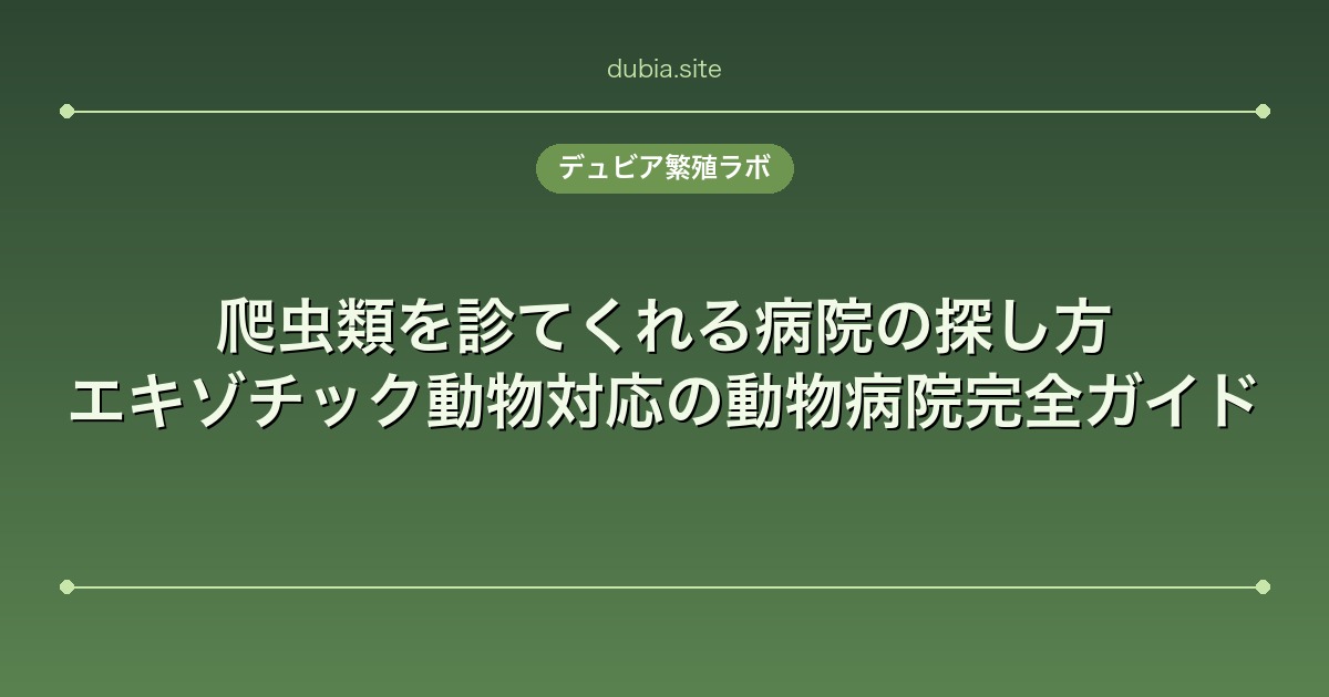 爬虫類を診てくれる病院の探し方｜エキゾチック動物対応の動物病院完全ガイド