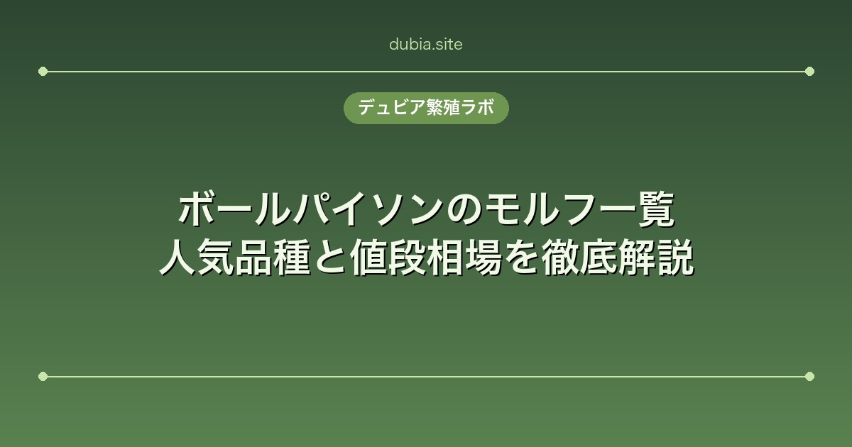 ボールパイソンのモルフ一覧｜人気品種と値段相場を徹底解説