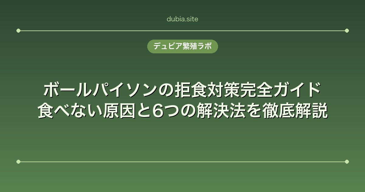 ボールパイソンの拒食対策完全ガイド｜食べない原因と6つの解決法を徹底解説