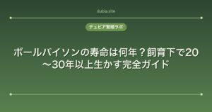 ボールパイソンの寿命は何年？飼育下で20〜30年以上生かす完全ガイド