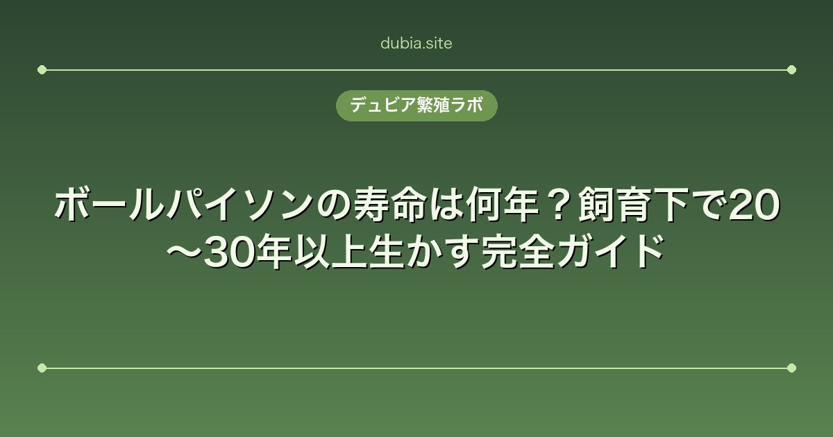 ボールパイソンの寿命は何年？飼育下で20〜30年以上生かす完全ガイド
