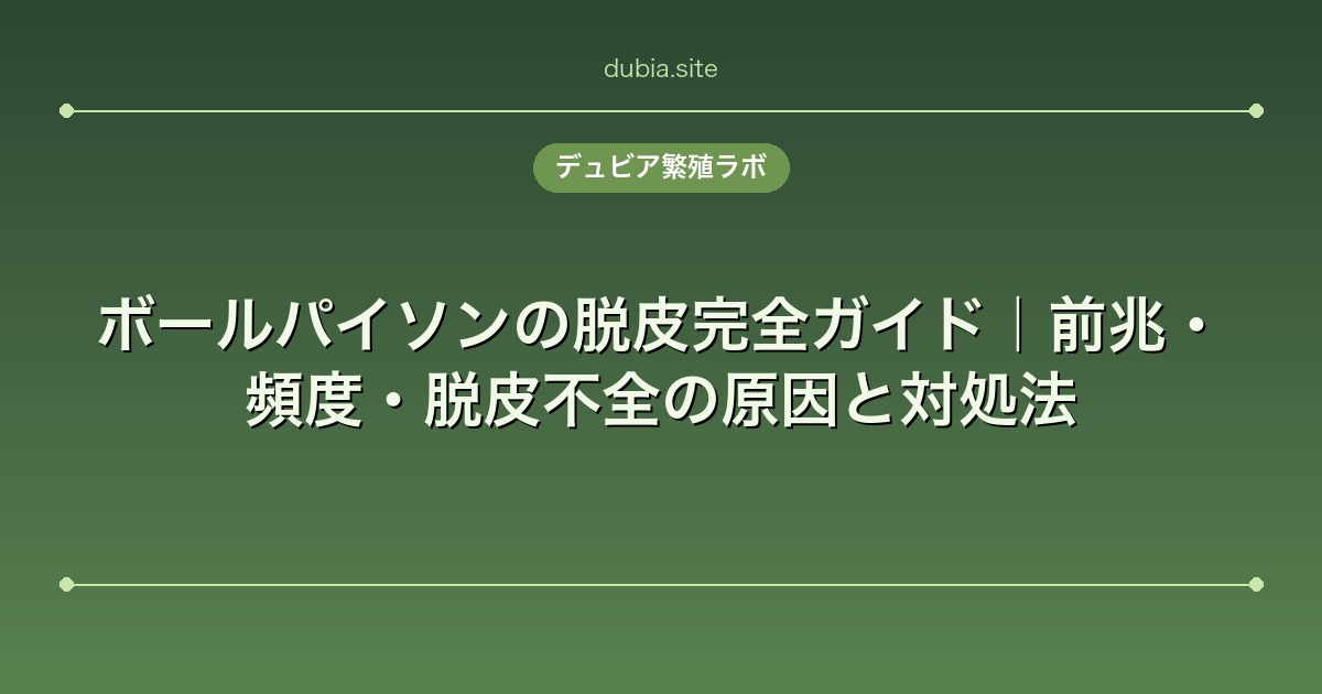 ボールパイソンの脱皮完全ガイド｜前兆・頻度・脱皮不全の原因と対処法