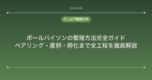 ボールパイソンの繁殖方法完全ガイド｜ペアリング・産卵・孵化まで全工程を徹底解説