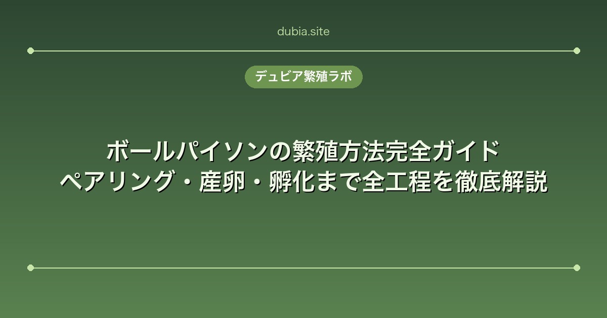 ボールパイソンの繁殖方法完全ガイド｜ペアリング・産卵・孵化まで全工程を徹底解説