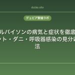 ボールパイソンの病気と症状を徹底解説｜マウスロット・ダニ・呼吸器感染の見分け方と対処法