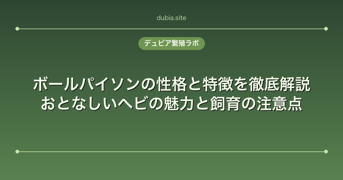 ボールパイソンの性格と特徴を徹底解説｜おとなしいヘビの魅力と飼育の注意点