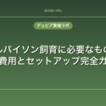 ボールパイソン飼育に必要なもの一覧｜初期費用とセットアップ完全ガイド