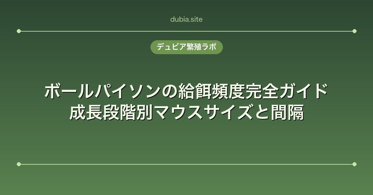 ボールパイソンの給餌頻度完全ガイド｜成長段階別マウスサイズと間隔