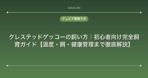 クレステッドゲッコーの飼い方｜初心者向け完全飼育ガイド【温度・餌・健康管理まで徹底解説】