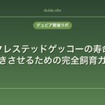クレステッドゲッコーの寿命｜長生きさせるための完全飼育ガイド