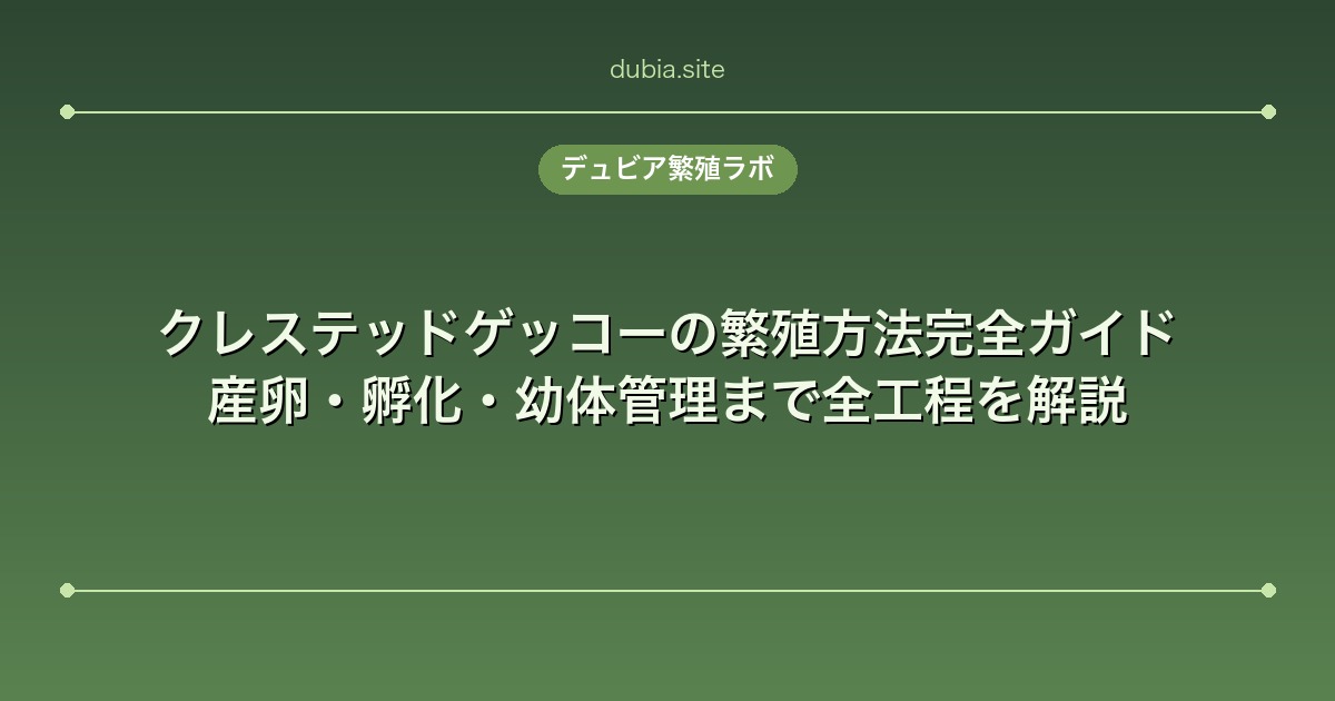 クレステッドゲッコーの繁殖方法完全ガイド|産卵・孵化・幼体管理まで全工程を解説