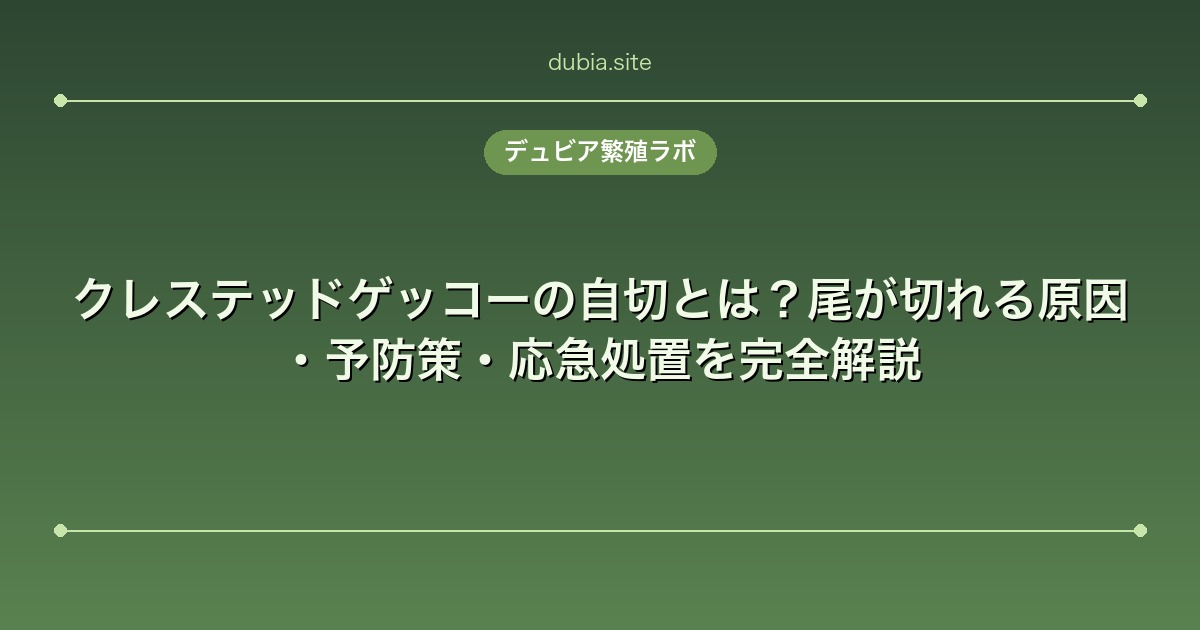 クレステッドゲッコーの自切とは?尾が切れる原因・予防策・応急処置を完全解説