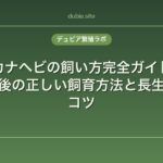 カナヘビの飼い方完全ガイド｜捕まえた後の正しい飼育方法と長生きさせるコツ