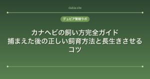 カナヘビの飼い方完全ガイド｜捕まえた後の正しい飼育方法と長生きさせるコツ