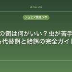 カナヘビの餌は何がいい？虫が苦手でも飼える代替餌と給餌の完全ガイド