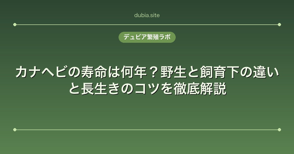 カナヘビの寿命は何年？野生と飼育下の違いと長生きのコツを徹底解説