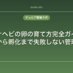 カナヘビの卵の育て方完全ガイド｜産卵から孵化まで失敗しない管理方法