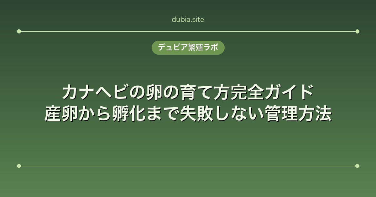 カナヘビの卵の育て方完全ガイド|産卵から孵化まで失敗しない管理方法