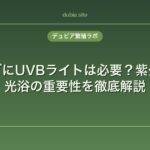 カナヘビにUVBライトは必要？紫外線と日光浴の重要性を徹底解説