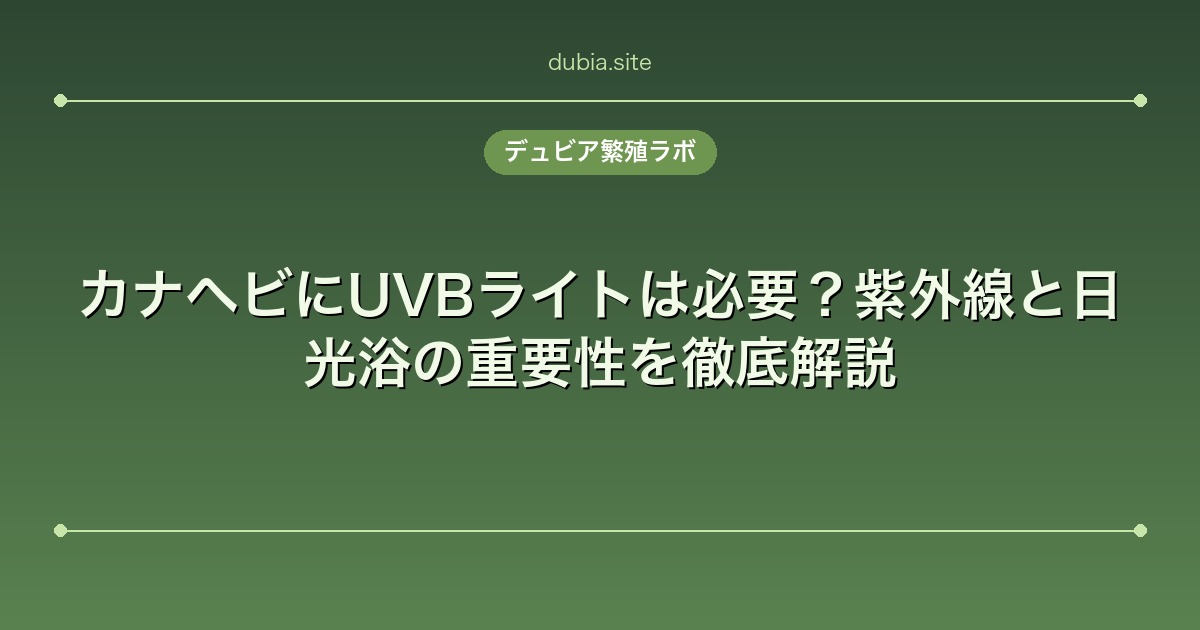 カナヘビにUVBライトは必要？紫外線と日光浴の重要性を徹底解説