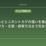 カナヘビとニホントカゲの違いを徹底解説｜見分け方・生態・飼育方法まで完全ガイド