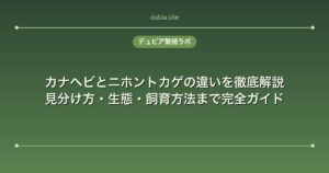 カナヘビとニホントカゲの違いを徹底解説｜見分け方・生態・飼育方法まで完全ガイド