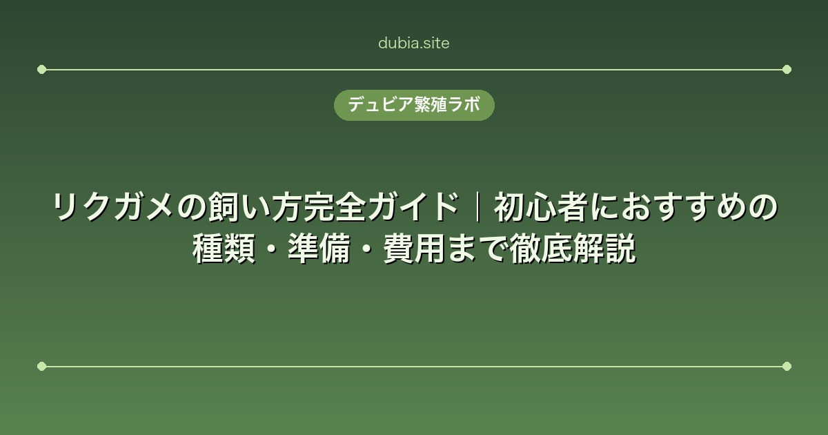 リクガメの飼い方完全ガイド｜初心者におすすめの種類・準備・費用まで徹底解説